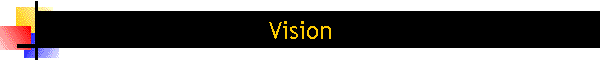 Vision